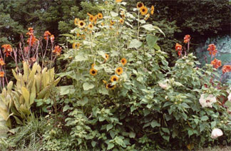 Flowerbeds are a source of inspiration and they smell good, too.