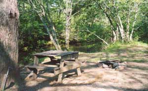 Camp site on the river