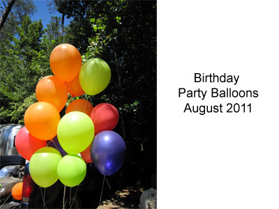 Birthday Party Balloons Slideshow